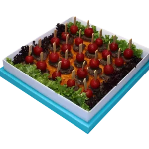 پارتی پک ته چین کباب تابه ای